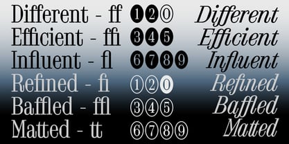 FTC Foldyne Font Poster 7
