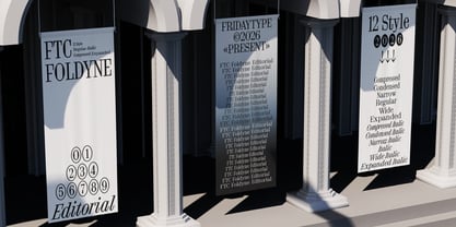 FTC Foldyne Font Poster 12