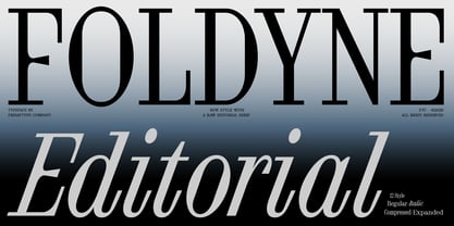 FTC Foldyne Font Poster 1