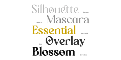Randeta Olindra Font Poster 6