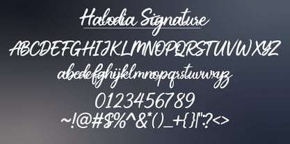 Halodia Signature Font Poster 1