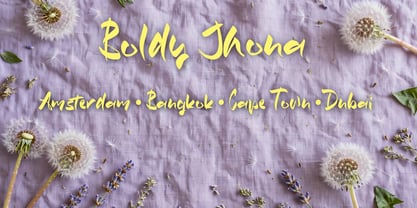 Boldy Jhona Font Poster 12