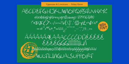 Pelmy Know Font Poster 10