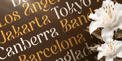 Koga Font Poster 3