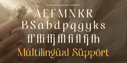 Koga Font Poster 12