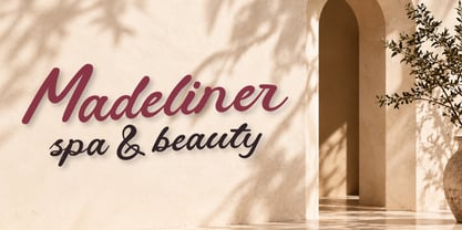 Venadria Signature Font Poster 2