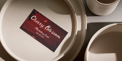 Venadria Signature Font Poster 5