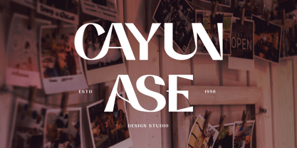 Canuas Font Poster 6