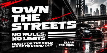 Elian Font Poster 3