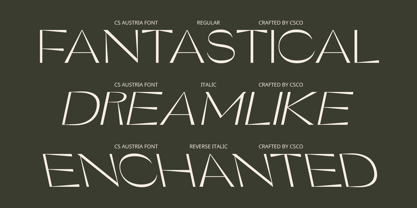 CS Austria Font Poster 4