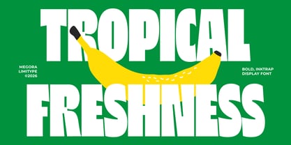 Megora Font Poster 2