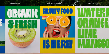 Megora Font Poster 10