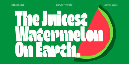 Megora Font Poster 4