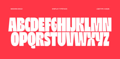 Megora Font Poster 8