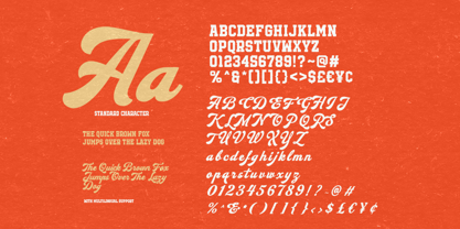 Starlone Font Poster 12