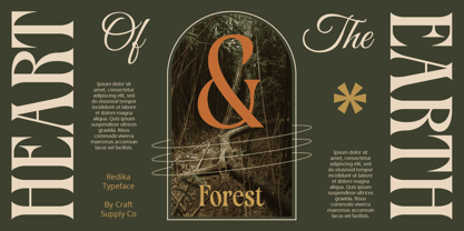 Redika Font Poster 4