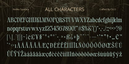 Redika Font Poster 6
