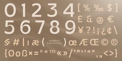 Norant Font Poster 11