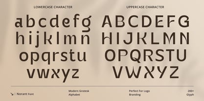 Norant Font Poster 12