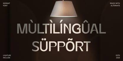 Norant Font Poster 13