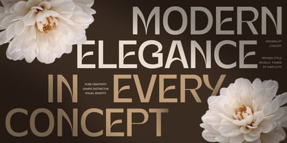 Norant Font Poster 6