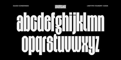 Kaigo Font Poster 10