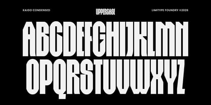 Kaigo Font Poster 9