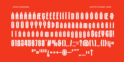 Kaigo Font Poster 11