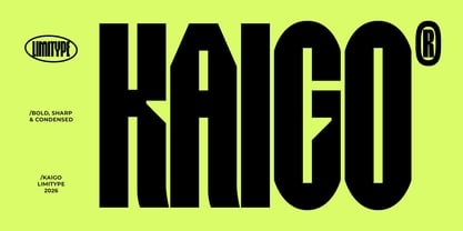 Kaigo Font Poster 1