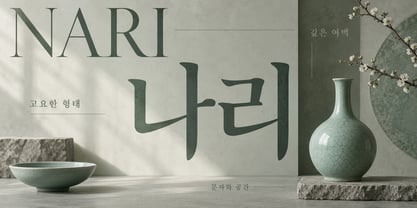 Nari Font Poster 3