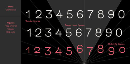 Denz Font Poster 4