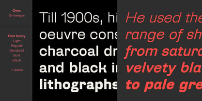 Denz Font Poster 3