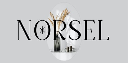 Norsel Font Poster 1