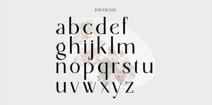 Norsel Font Poster 12