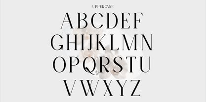 Norsel Font Poster 11