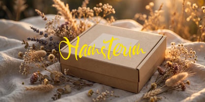 Hamsterim Font Poster 5