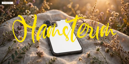 Hamsterim Font Poster 14