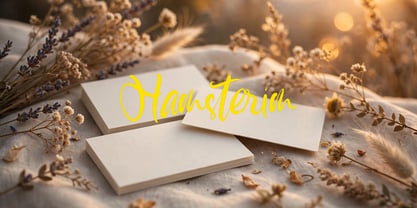 Hamsterim Font Poster 2