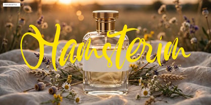 Hamsterim Font Poster 9