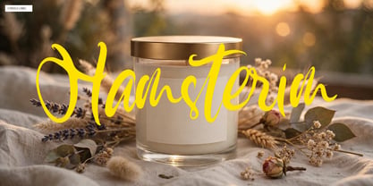 Hamsterim Font Poster 10