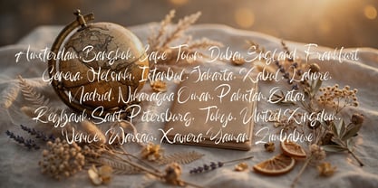 Hamsterim Font Poster 3