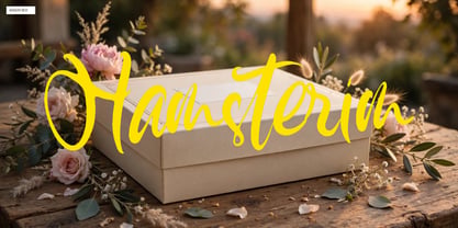 Hamsterim Font Poster 11