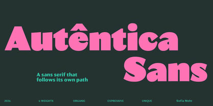 Autêntica Sans Font Poster 1