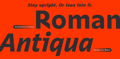 Rektor Variable Concept Font Poster 3