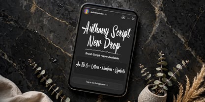 Authany Script Font Poster 10