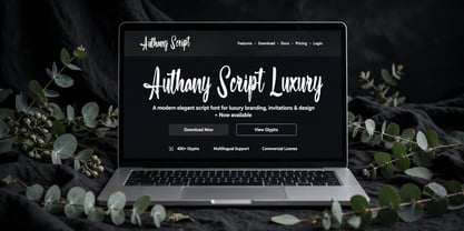 Authany Script Font Poster 14