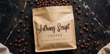 Authany Script Font Poster 5