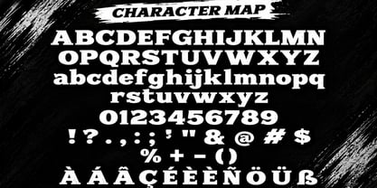 Mercer Font Poster 5