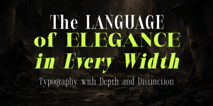 Verasity Font Poster 3