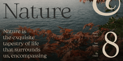 Renly Font Poster 3